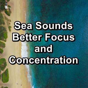 Sea Sounds Better Focus and Concentration