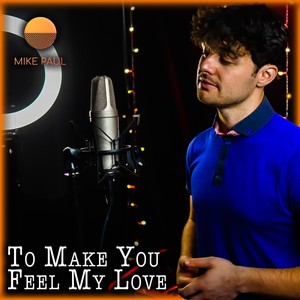 To Make You Feel My Love