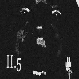 II.5