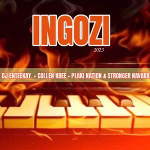 Ingozi (feat. DJ eN Teekay, Plaki nation & Stronger Navara)