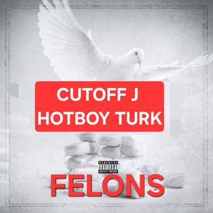 Felons (feat. Hot boy Turk) [Explicit]