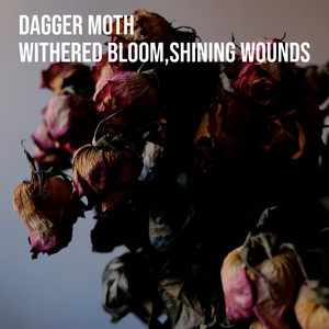 Withered bloom, shining wounds (TEN!)