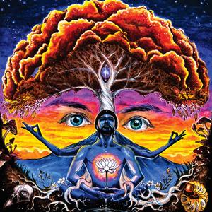 Floating (So High) (feat. Amanda Dove & Chieflow) (Explicit)