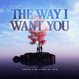 The Way I Want You (feat. Giin)