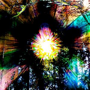 DDD, variation exp n•1