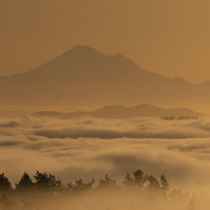 Over The Mountains