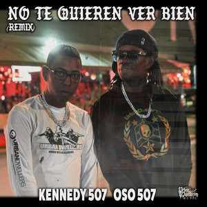 No Te Quieren Ver Bien (Remix)
