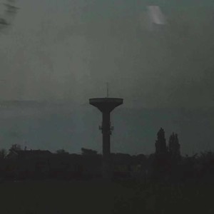 People who dancing in the moonlight