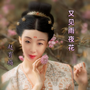 赵育梅 - 又见雨夜花