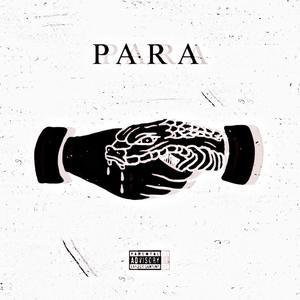 PARA (Explicit)