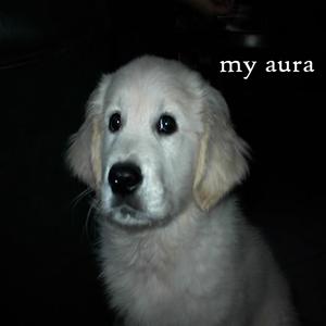 my aura (Explicit)