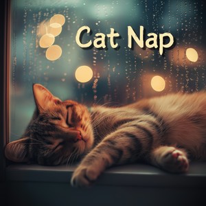 Cat Nap