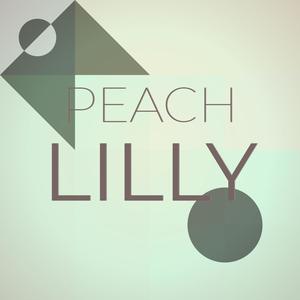 Peach Lilly