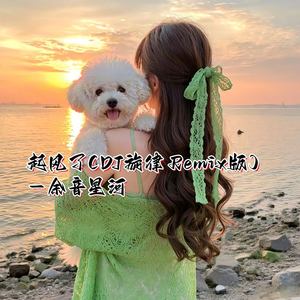 起风了 (DJ旋律 Remix版)