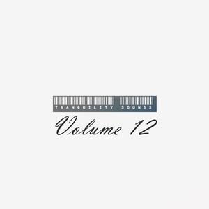 Tranquility Sounds Volume 12