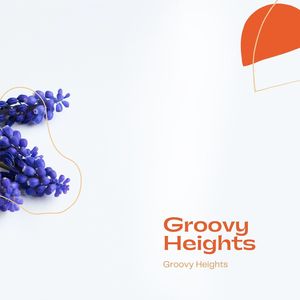 Groovy Heights