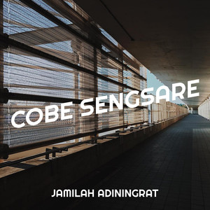 Cobe Sengsare