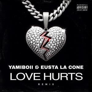 Love Hurts (feat. Eustar) [Remix] [Explicit]