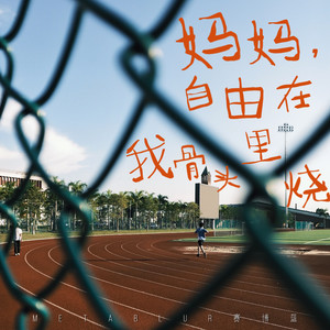 妈妈，自由在我骨头里烧