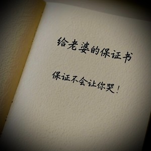 给老婆的保证书 (DJ版)