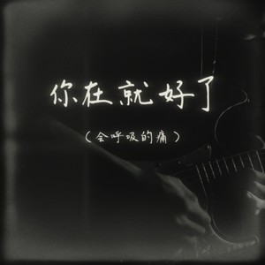 你在就好了（会呼吸的痛）
