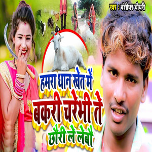 Hamaraa Dhan Khet Me Bakadi Charebhi Te Chhodi Lebau