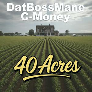 40 Acres