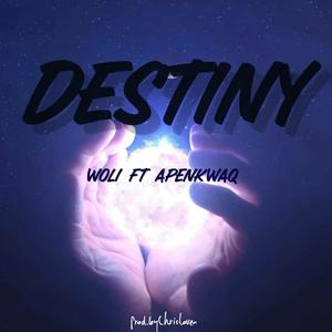 Destiny (feat. Apenkwaq)