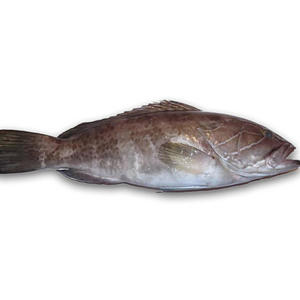 DATAYAYFREESTYLE (feat. CaptainThiof) (Explicit)