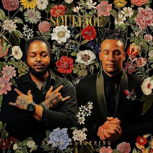 SUNSHINE SERENADE (feat. GREENS & SUAVETHEJEDI) (Explicit)