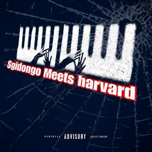 Sgidongo meets harvard Vol 1