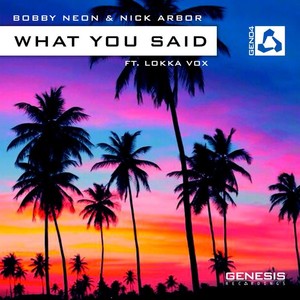 What You Said (MaRLo Remix)