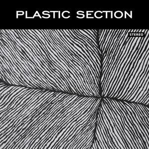 Plastic Section