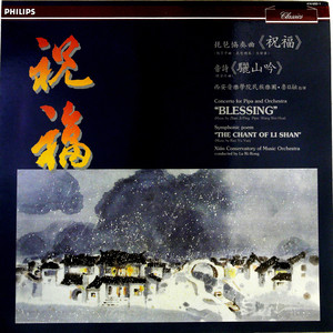 新翻羽调绿腰 (琵琶独奏) (黑胶版)