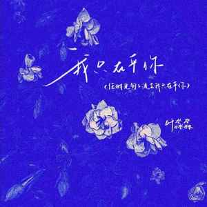 叶淼淼 - 我只在乎你（任时光匆匆流去我只在乎你）