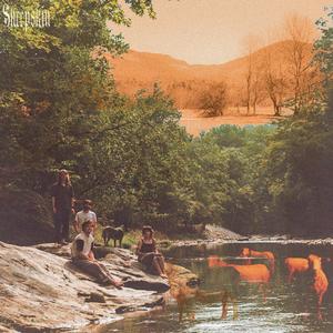 sheepskin - Devil Owns My Eyes