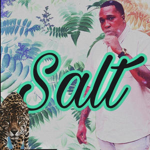 Salt (Explicit)