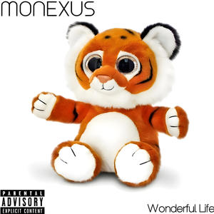 Wonderful Life (Explicit)