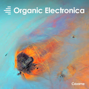 Organic Electronica