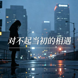 对不起当初的相遇 (痴情版)