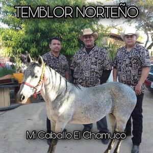 MI CABALLO "EL CHAMUCO"