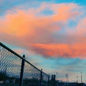 a shitty song (Explicit)