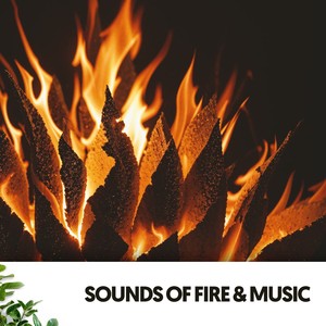 Sounds of Fire & Music: Flames and Melodies Collide