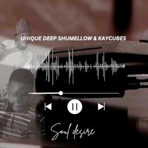 Soul desire (feat. Unique deep shumellow)