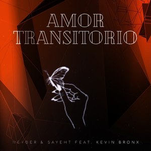 Amor Transitorio