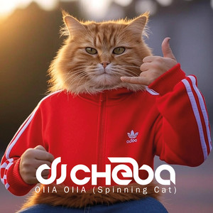 dj cheba - Oiia Oiia (Spinning Cat) Original