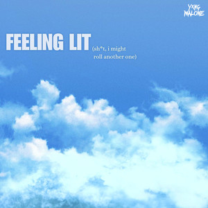 Feeling Lit (Explicit)