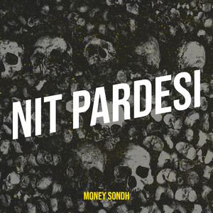 Nit Pardesi