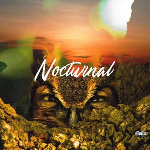 Nocturnal (feat. Waeko Swami) (Explicit)