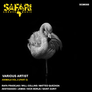 Bass Alfa (Original Mix)